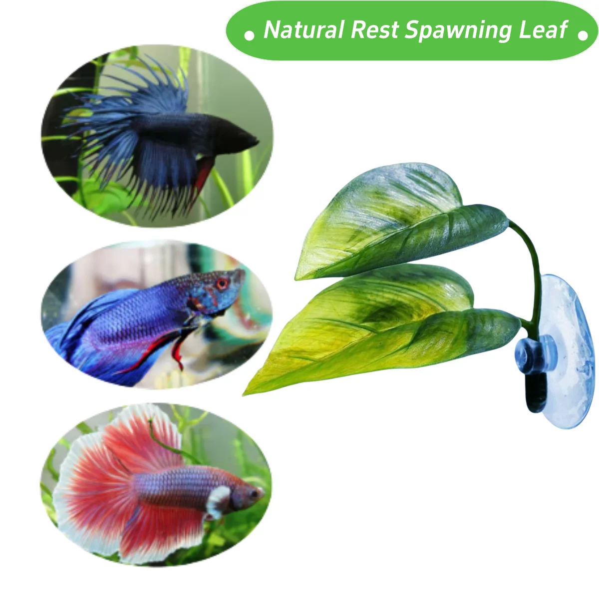 الحيوانات الأليفة خزان الأسماك - مراجعة Aquarium Plant Roots وسعره