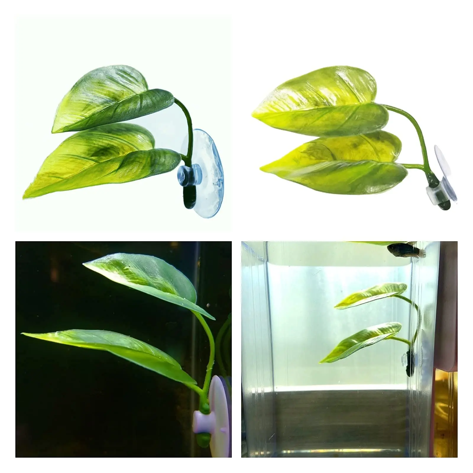 الحيوانات الأليفة خزان الأسماك - مراجعة Aquarium Plant Roots وسعره