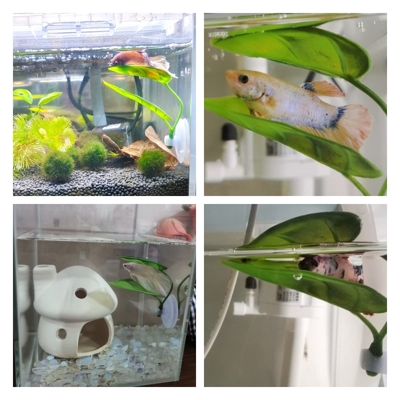 الحيوانات الأليفة خزان الأسماك - مراجعة Aquarium Plant Roots وسعره