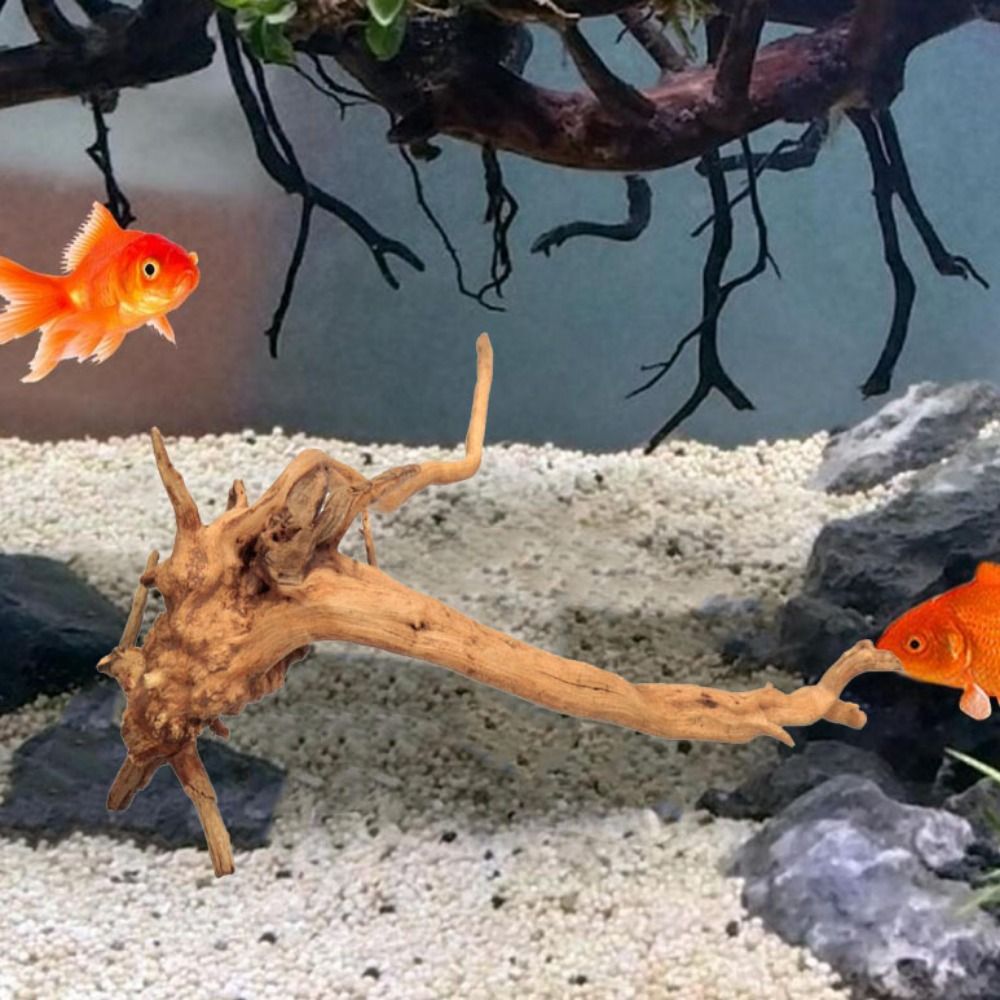خشب عائم طبيعي كبير لحوض السمك - مراجعة Aquarium Plant Roots وسعره