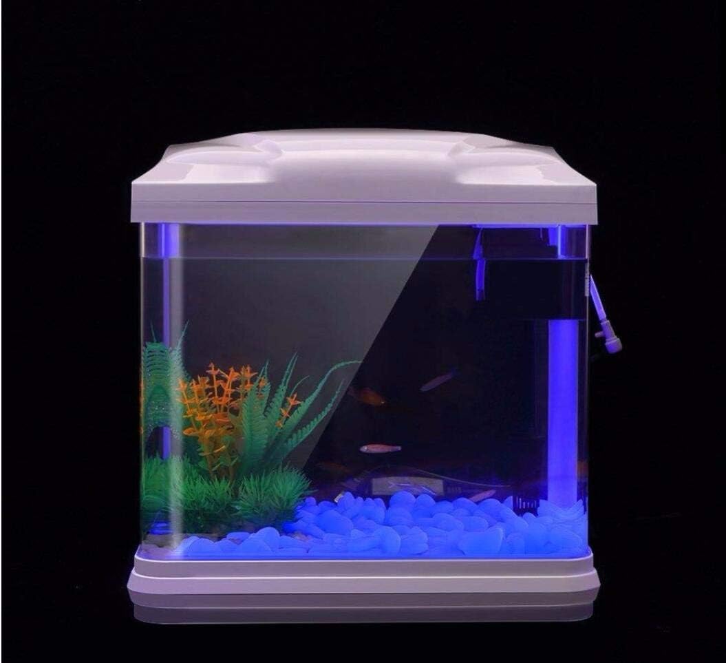 حوض السمك الصخور توهج الحصى ال - مراجعة Aquarium Planted Plants وسعره