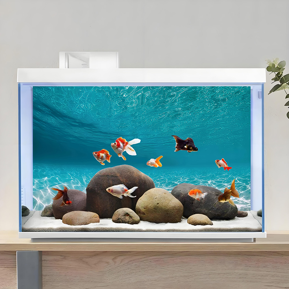 رمل أبيض مشمس، لوحة خلفية لحوض - مراجعة Aquarium Sand White وسعره