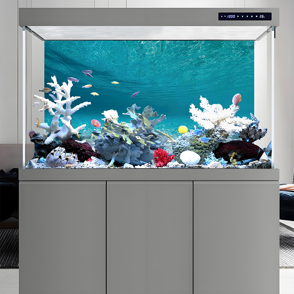 رمل أبيض مشمس، لوحة خلفية لحوض - مراجعة Aquarium Sand White وسعره
