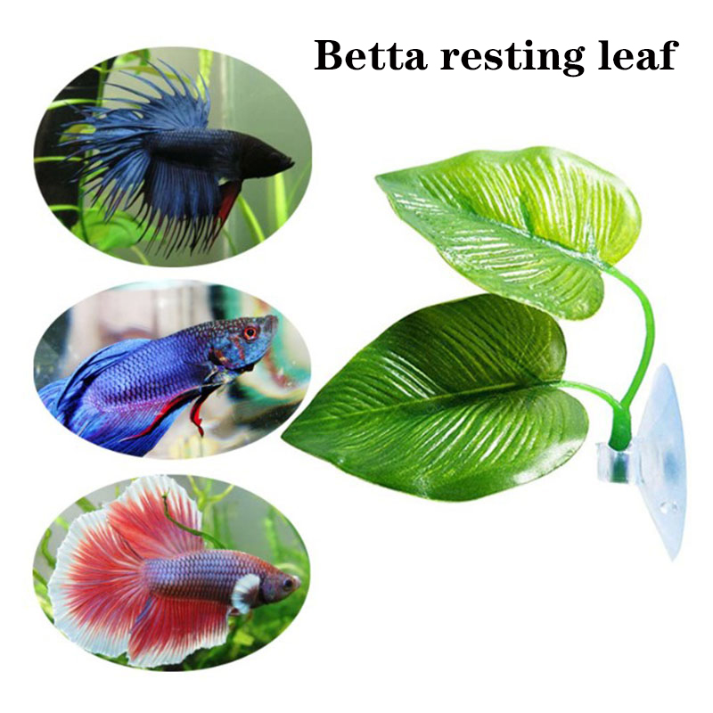 نباتات أوراق صناعية للزينة في  - مراجعة Planted Aquarium For Betta وسعره