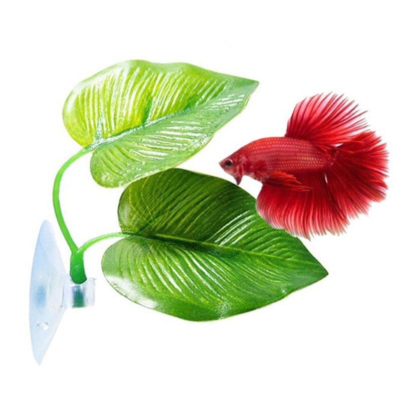 نباتات أوراق صناعية للزينة في  - مراجعة Planted Aquarium For Betta وسعره