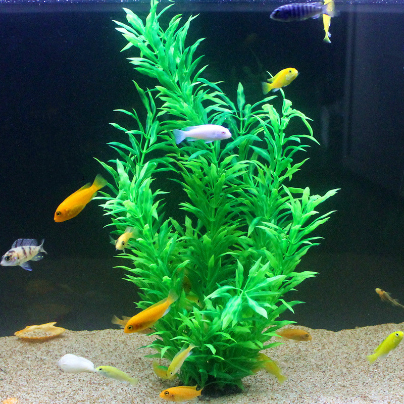 نباتات اصطناعية نادرة لأحواض ا - مراجعة Aquarium Plant Roots وسعره