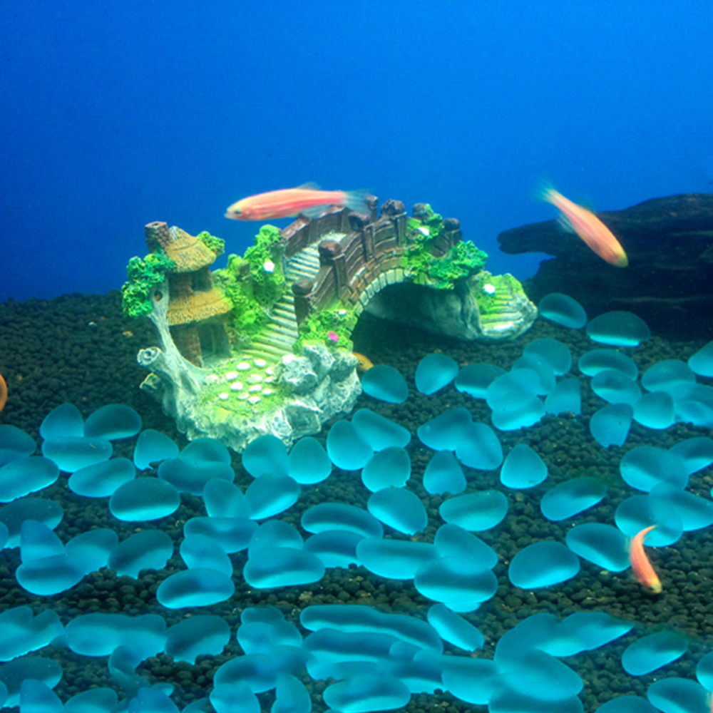 اكسسوارات حوض السمك نبات شجرة  - مراجعة Aquarium Plant Roots وسعره