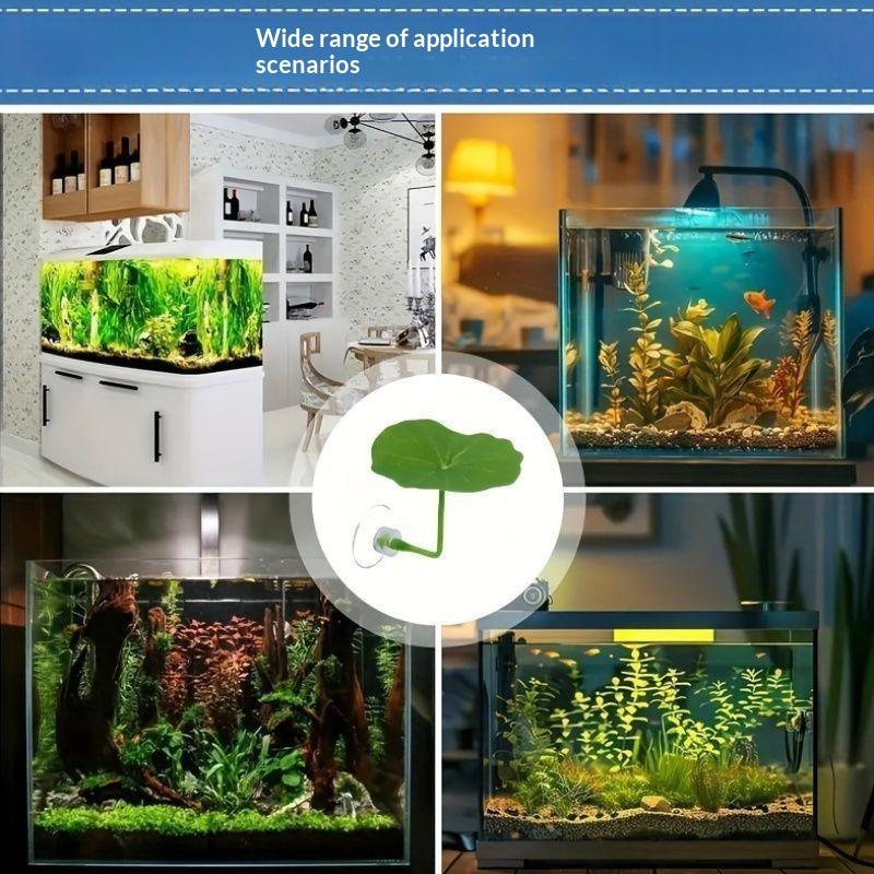 3/5/10 قطع من أوراق اللوتس الب - مراجعة Planted Aquarium For Betta وسعره