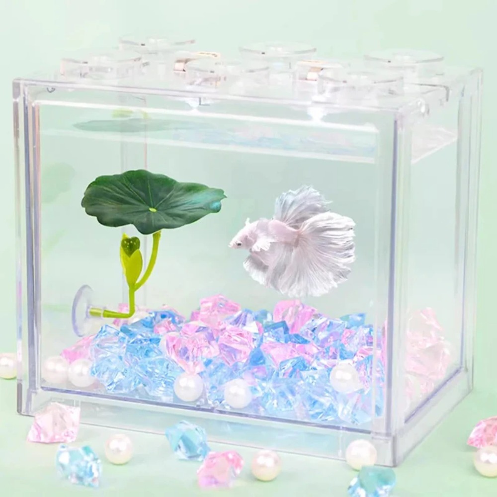 1 قطعة أرجوحة سمك البيتا ذات ا - مراجعة Planted Aquarium For Betta وسعره