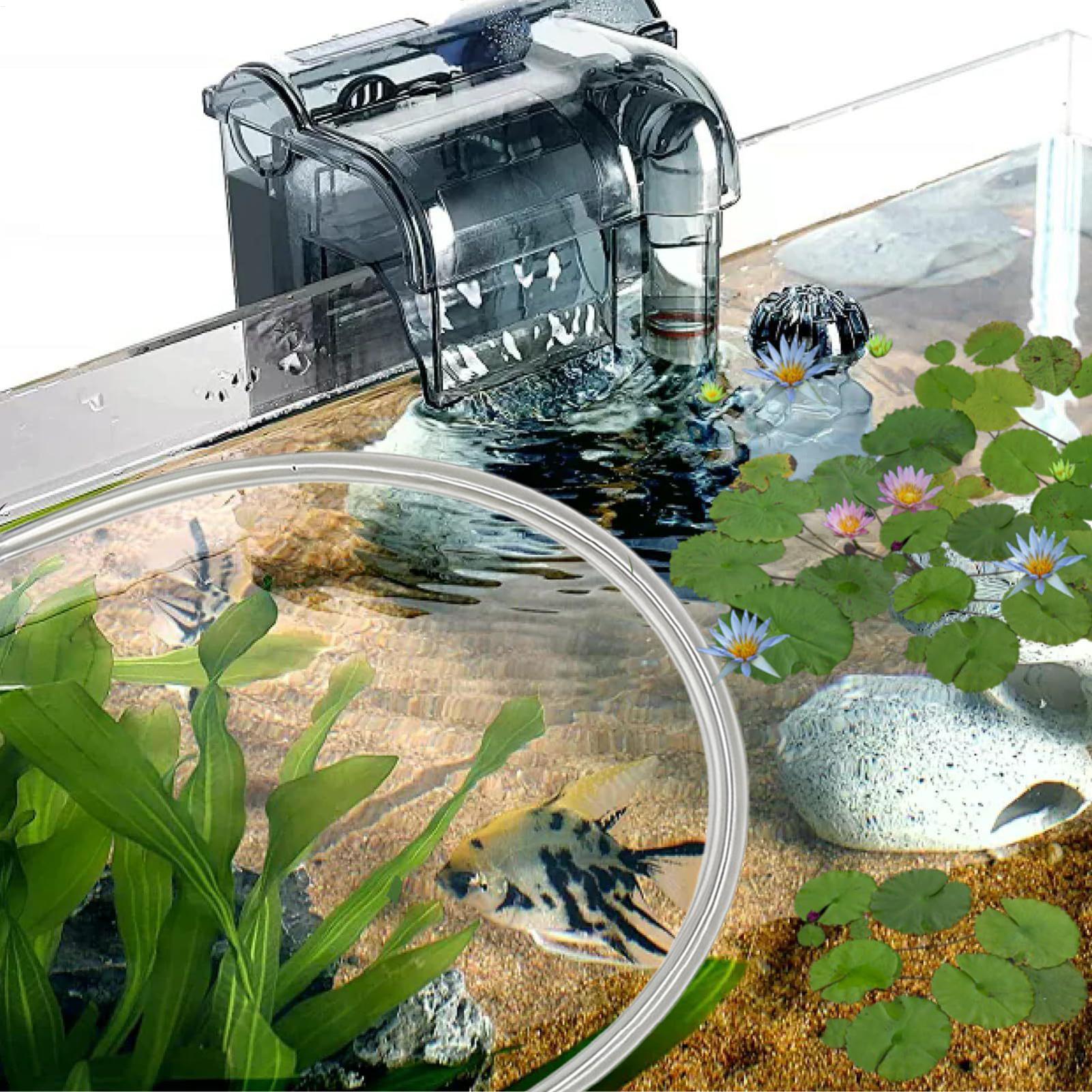 حاجز نباتات عائمة للأحواض السم - مراجعة Planted Aquarium For Betta وسعره