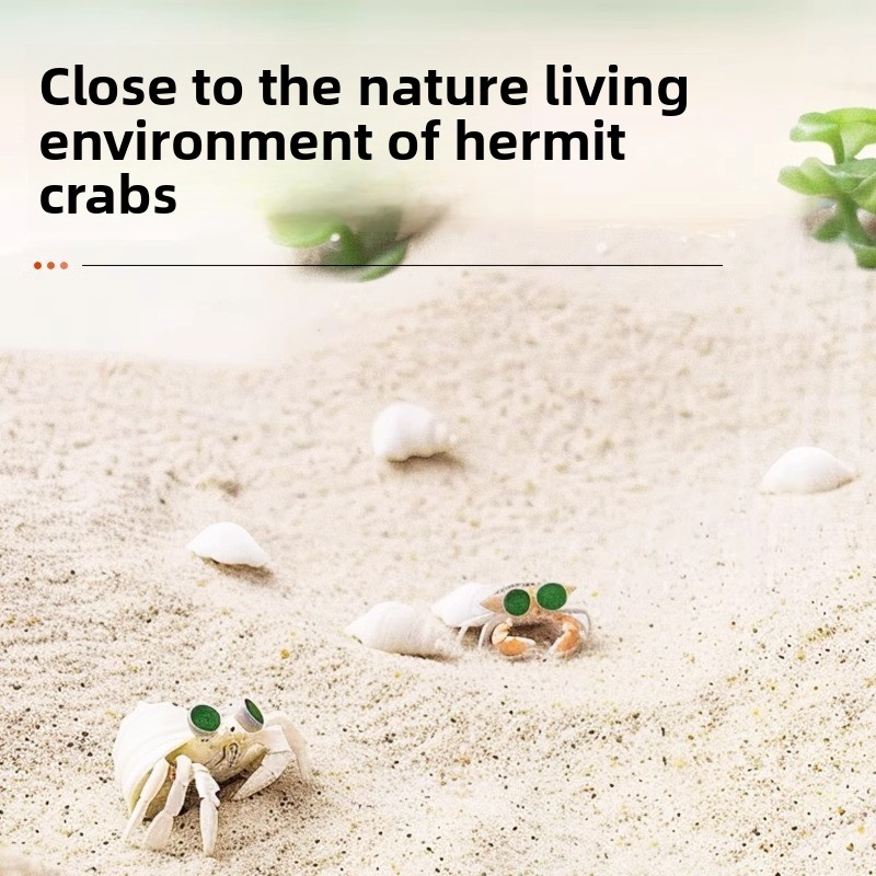 FKSC Hermit Crab Sand & Aquari - مراجعة Aquarium Sand White وسعره