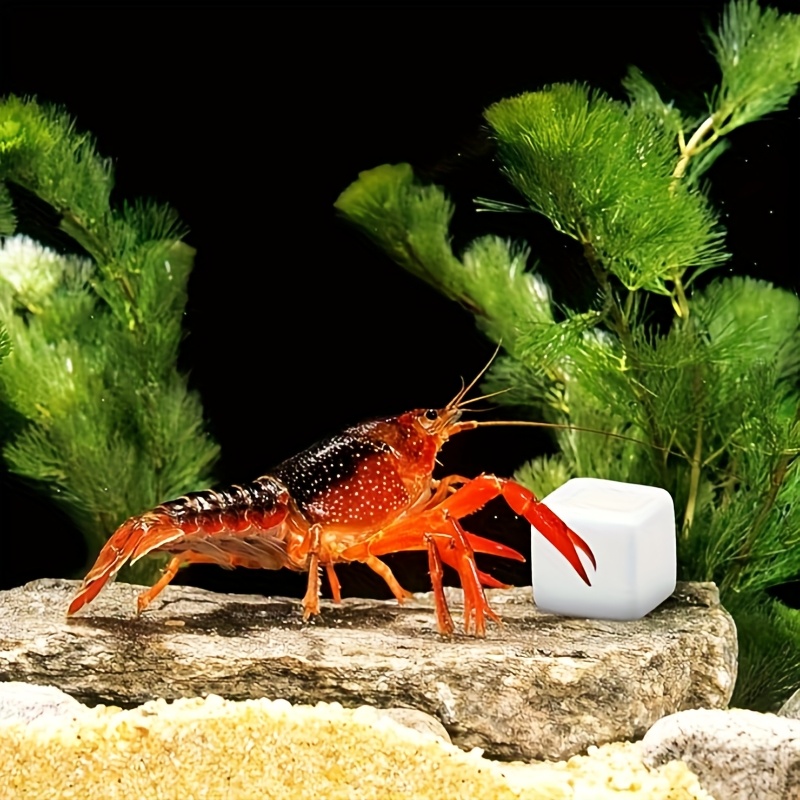 6 قطعة خزان الأسماك كتلة الكال - مراجعة Aquarium Plant Roots وسعره