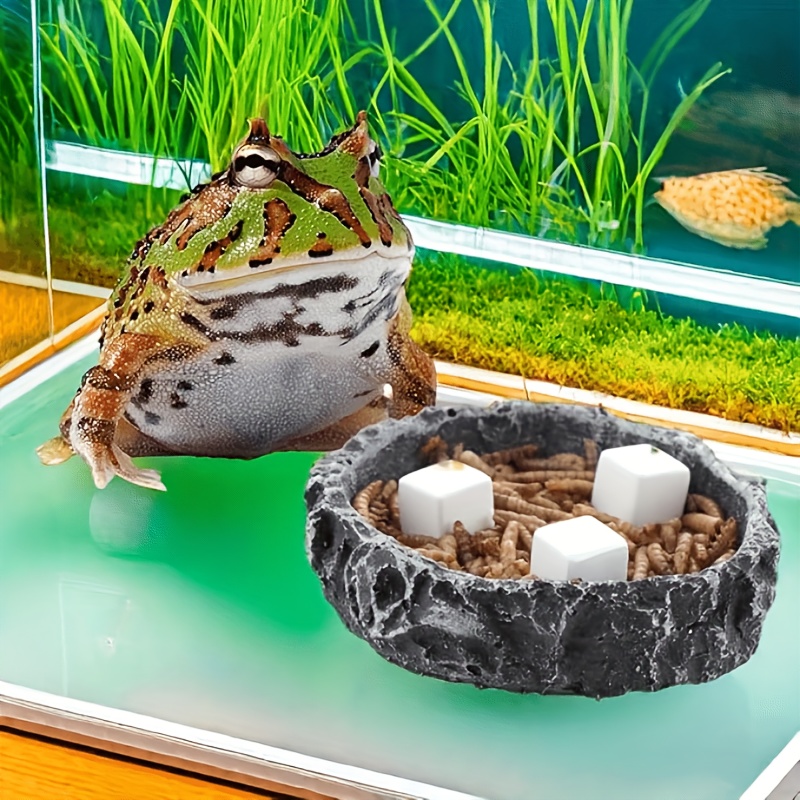 6 قطعة خزان الأسماك كتلة الكال - مراجعة Aquarium Plant Roots وسعره